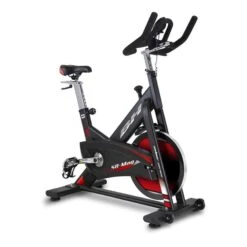 BH Fitness SB Magnetic Indoor Bike