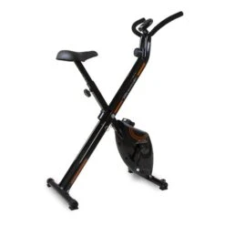 BH Fitness Evo B1000 Bike