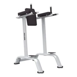 Bodytone Abdominal And Dips Bank