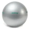 Evergy Fitness Home 55 Cm Pilates Ball Grey