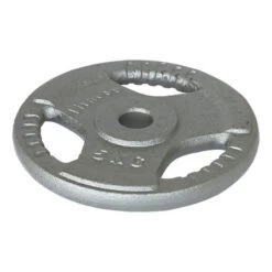 Softee Iron Disc With Grip 5 Kg Grey