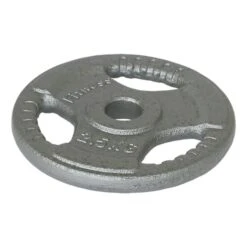 Softee Iron Disc With Grip 2.5 Kg Grey