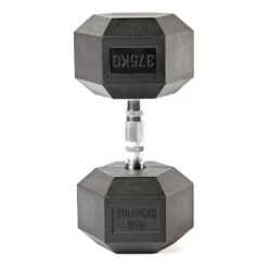 Singular WOD 37.5kg Dumbbell